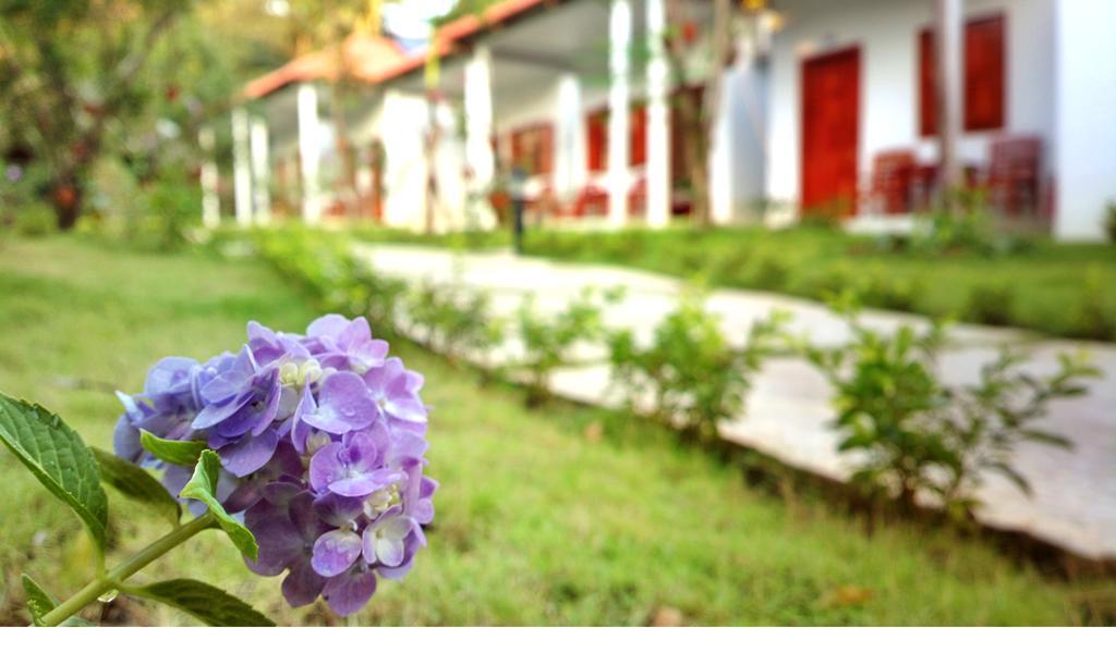 Highland Bungalow Duong Dong Exterior foto