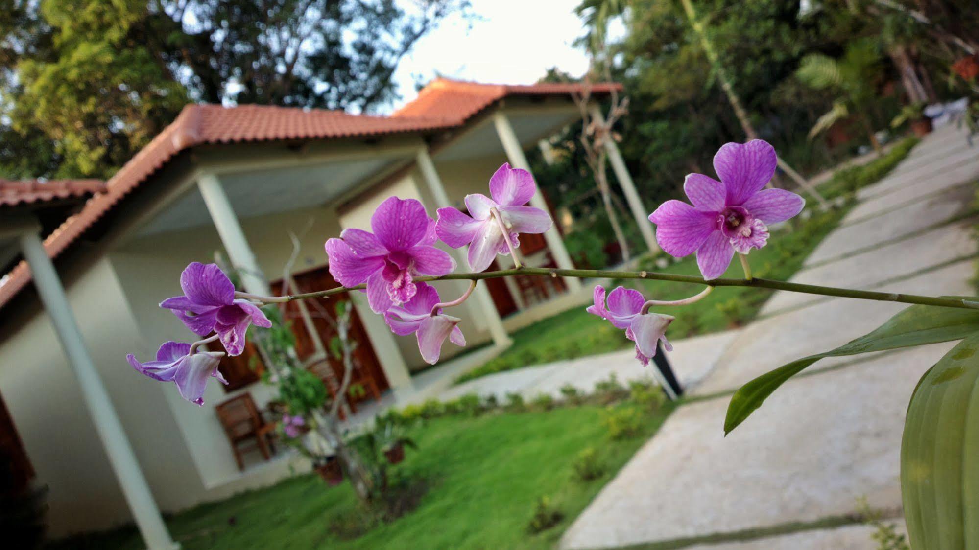Highland Bungalow Duong Dong Exterior foto